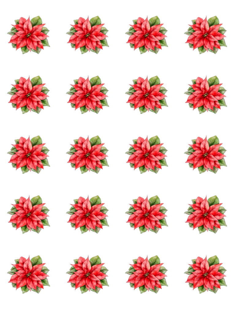 Poinsettia Transfer Sheet